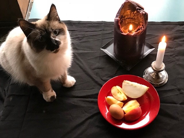 Hekate deipnon (supper) with Potato the cat