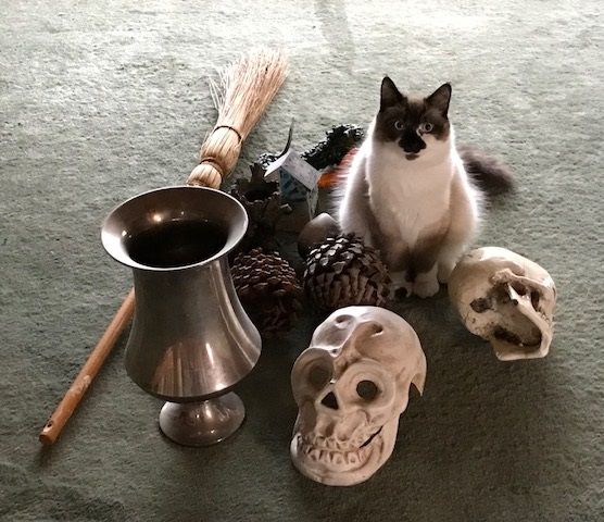 Symbolic ritual objects, including Potato cat