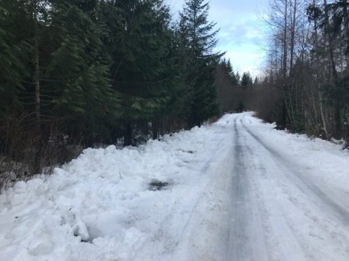 Snowy road