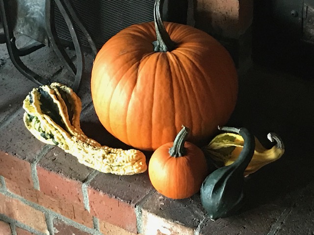 Pumpkins and decorative gourds on a brick hearth