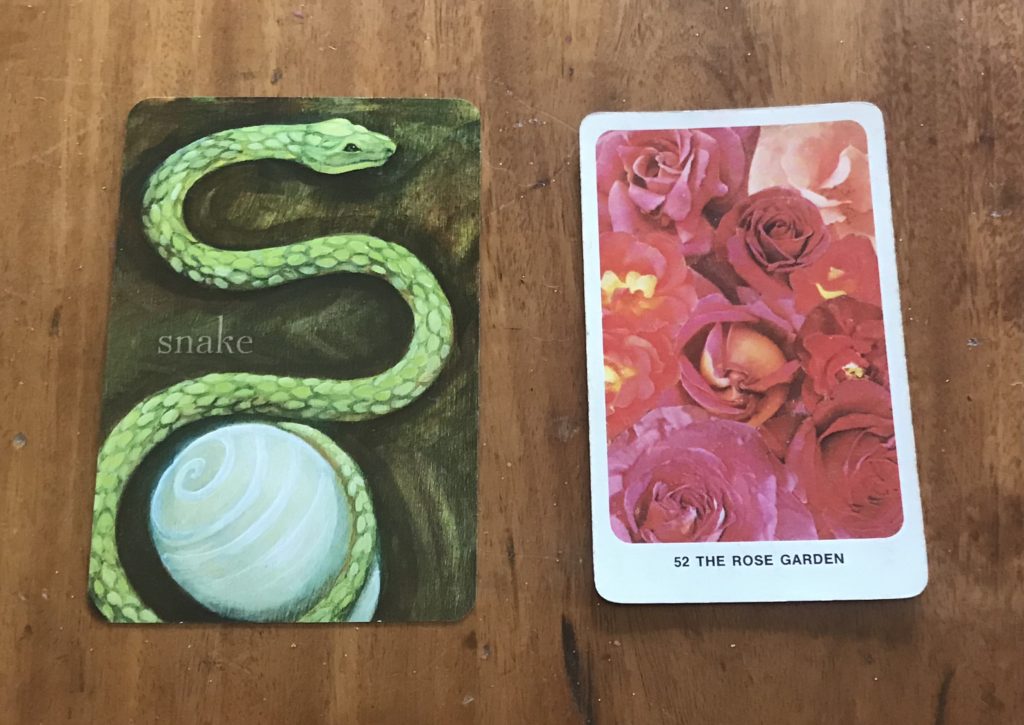 Two oracle cards, a snake and a rose garden